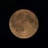 luna_4.jpg