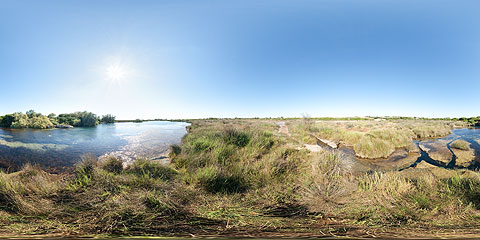 Palude del Capitano - foto panoramica immersiva VR a 360°